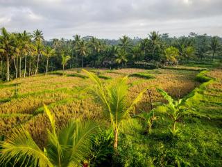 Mancur Guesthouse - 7