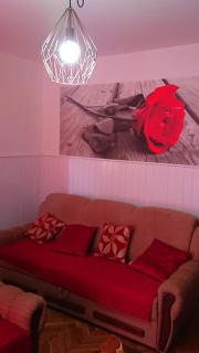 Apartments Vesna - Rab - 8