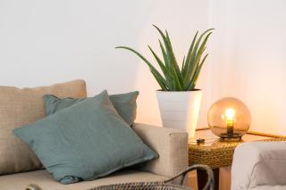 Caraujo Apartments - Lisboa - 6
