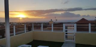 Gaviota - Caleta de Fuste - 8