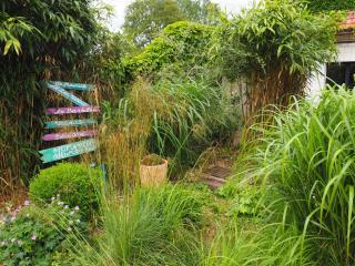 Le Clos du Carpe Diem - Cambligneul - 8