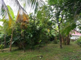 Gwada Bouillante Paradise - 4