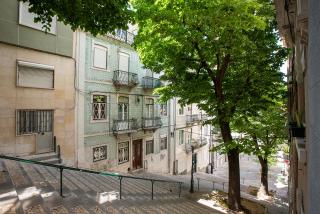 Liverpool Tree - Lisboa - 5