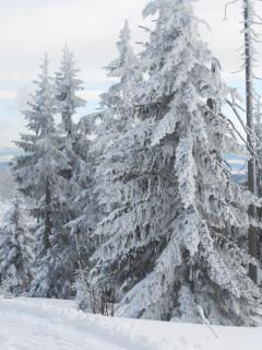 Ferienwohnung Casa MIA - 2