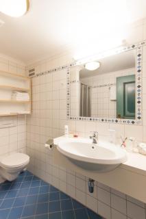 Appartements Gut Berg - 1