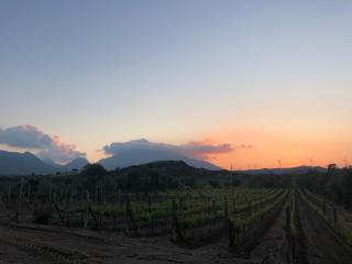 Datça Vineyard Guesthouse - Over 14 years old only - 6