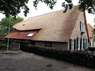 B & B De Pimpelmees - 's-Gravenmoer - 7