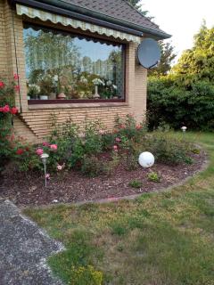 Ferienwohnung - Bohndorf - 6