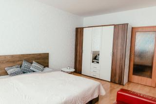 Old Town Apartment Pellicova - Brno - 9