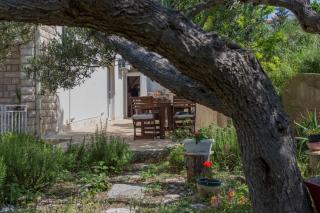 Olive garden - Hvar - 6