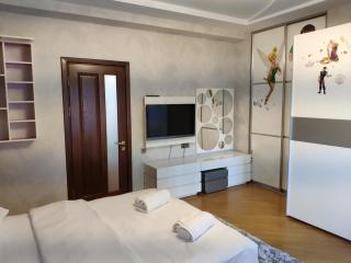 Family Nizami Apartment - Baku - 2