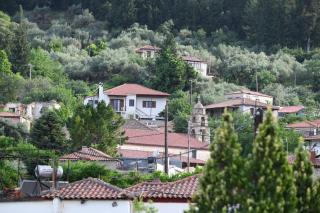 Art Flowers and Culture - Mystras (Mistra) - 5