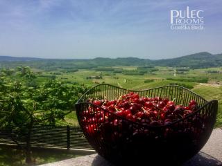 Apartma Sobe Pulec - 5