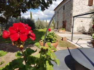 La Canonica - San Giovanni dʼAsso - 7