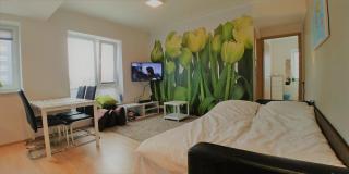 Scandian Apartments - City Park Tallinn - Tallinn - 6