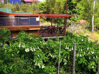 Mile 36 Lodge - Kundasang - 9