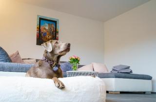 Ferienwohnung Rauszeit Lennestadt Sauerland - 9