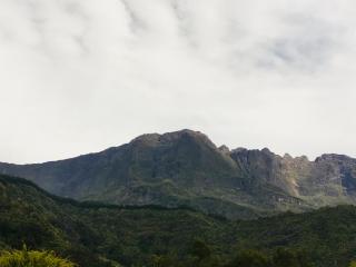 Chambres d'hôtes l'Orchidée Rose - 2