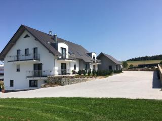 Landhaus Ferienwohnungen mit Pool und Wellness - Neukirchen-Balbini - 7