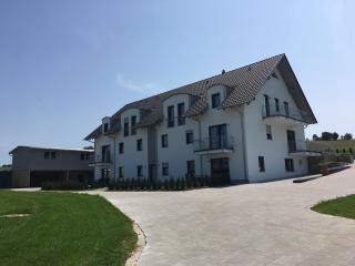 Landhaus Ferienwohnungen mit Pool und Wellness - Neukirchen-Balbini - 8