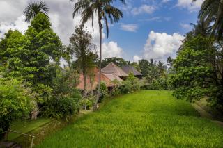 Ananda Ubud Resort - Ubud - 9