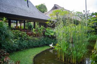 Ananda Ubud Resort - Ubud - 4