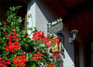 Le Charme de l'Altenberg - Neubois - 3