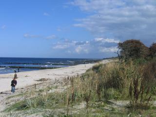 Strandgut - Börgerende-Rethwisch - 6