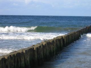 Strandgut - Börgerende-Rethwisch - 7