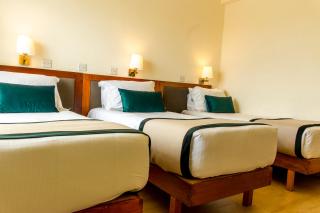 Pefkos City Hotel - Limassol - 4