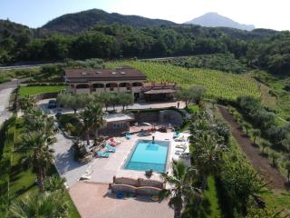 Tenuta del Bifan - 0