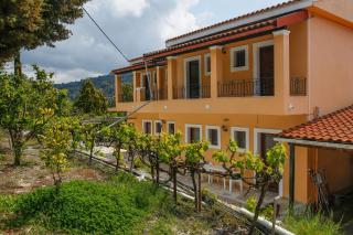 Andreas Apartments - Agios Georgios Pagon - 0