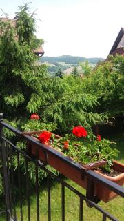 villa - Nowa Ruda - 7