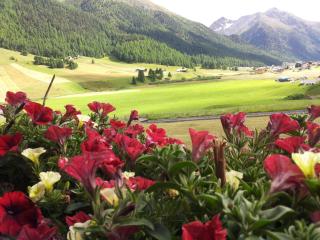 Al Molino - Livigno - 5