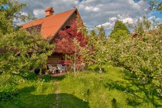 Bajtica Guesthouse - Bled - 5