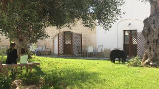 Masseria Pappo - Copertino - 3