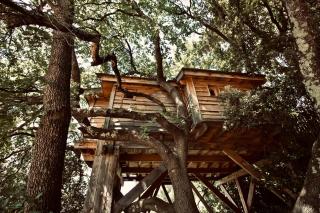 Aura Cabana - Cabane spa perchée à 6 m de haut - 7