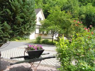fewo amendert - Cochem - 9