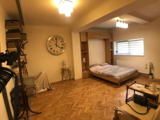 Apartment Vintige - Cluj-Napoca - 9
