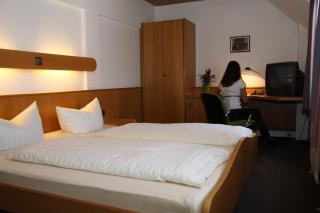 Hotel Waldhorn - 2