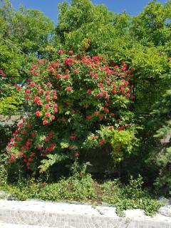 Vacation Home Dzoraghbyur - 7