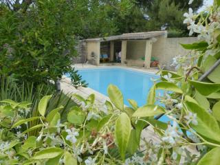 La quiétude de St Antoine - piscine privée - LʼIsle-sur-la-Sorgue - 0