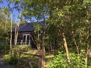 Alder Cabin - Kilkenny - 0