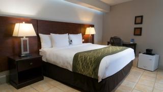 Abitta Condado by IHG - Independent SPHC - 8