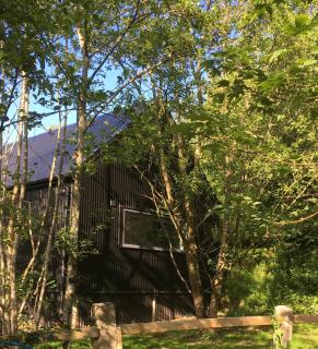 Alder Cabin - Kilkenny - 7