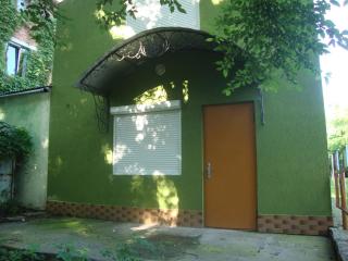 Domik s saunoy na Ogiyenko - Kam"janec'-Podil's'kyj - 4