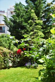 Avgi Garden House Chania with private entrance - Chania - 5