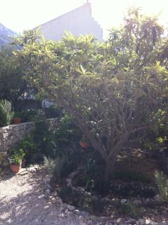 Apartman Štulić - Makarska - 5