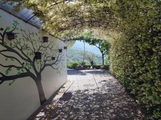 #IoniaHouse Surrel Villa - 7