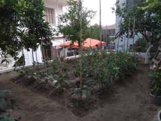 Anastasia' s guest house - Neos Marmaras - 3